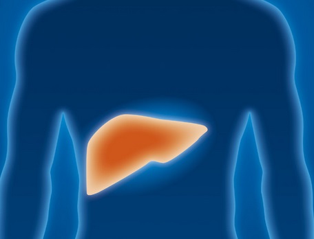 Hepatitis C, enfermedad del hígado peligrosamente silenciosa