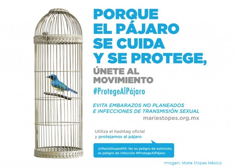 Más vale pájaro protegido que siento... ¡que tengo una ITS!